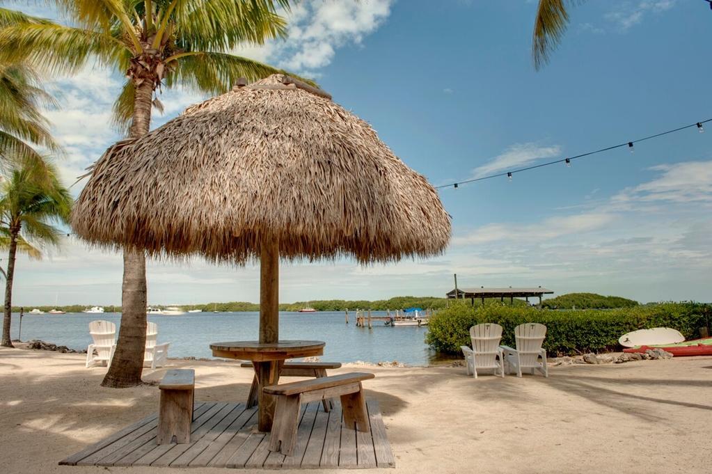 Coconut Palm Inn Tavernier Alam Semulajadi gambar